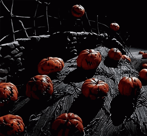 pgn_0-1698413135510.gif
