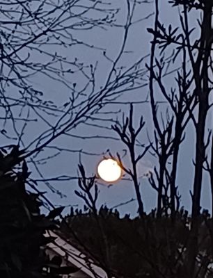 20240324_184042.jpg