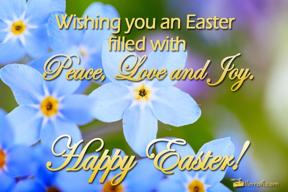 248204-Wishing-You-An-Easter-Filled-With-Peace-And-Love.jpg