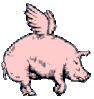 flying_pig.gif
