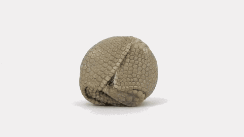 8.gif