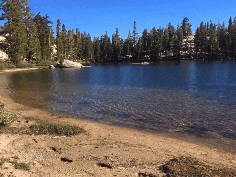 GIF by Justin.gif