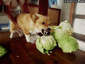 undefined - Imgur.gif