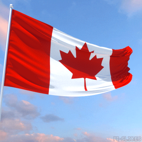 Canadian Celebration GIF by Pi-Slices.gif
