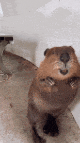 Cleoriff_0-1751891881639.gif