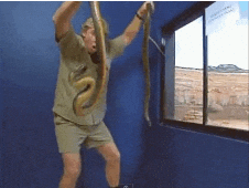 Steve Irwin Snakes GIF by Bustle.gif
