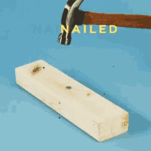 8.gif