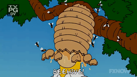 1st-birthday-503.gif