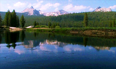 Cleoriff_0-1756900869403.gif