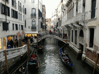 1000057336.gif