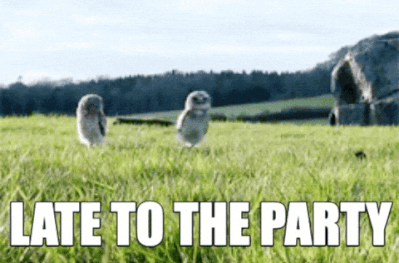 1000057825.gif