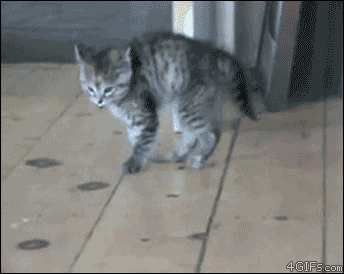 pilomotor.gif