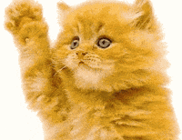Cleoriff_0-1766407734178.gif