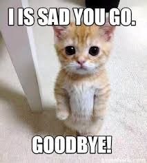 goodbye.jpg