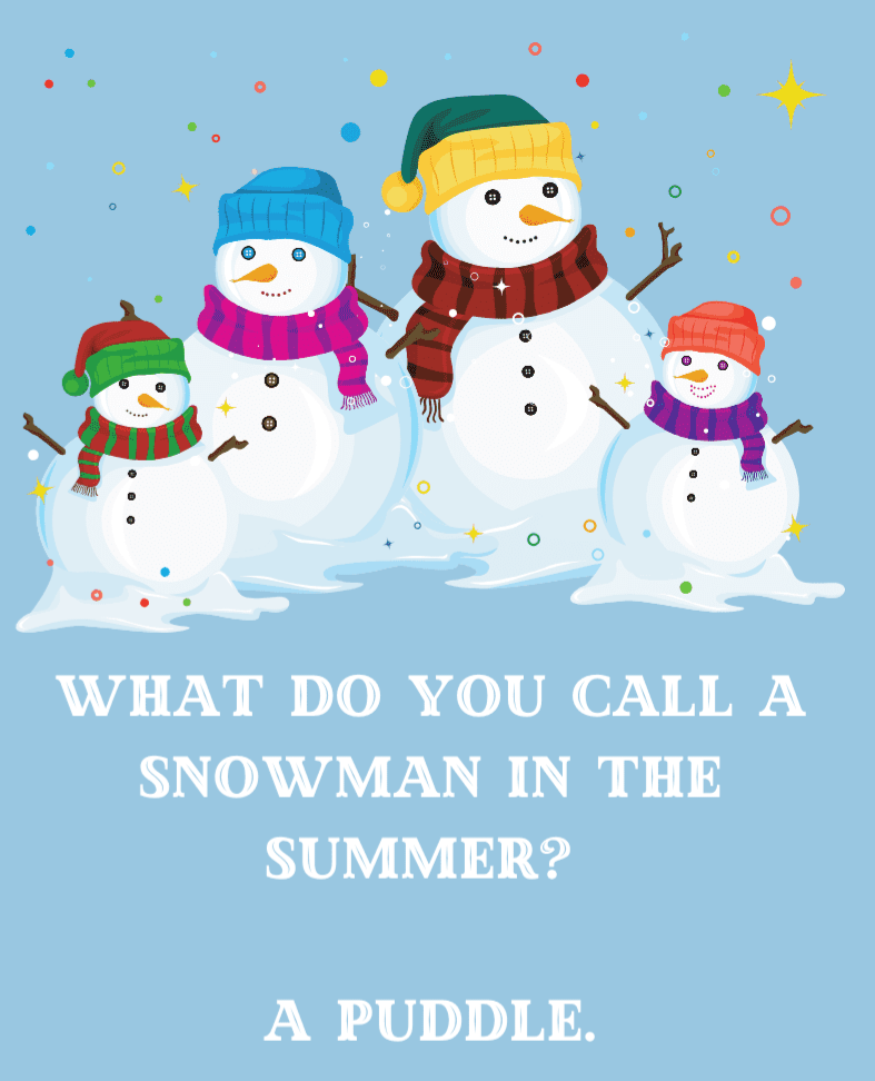 snow-puns-a-puddle-800x1200.png