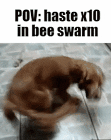 jonsie_0-1767967047174.gif