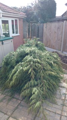 2014-03-23 14.31.38.jpg 2014-03-23 14.31.38.jpg