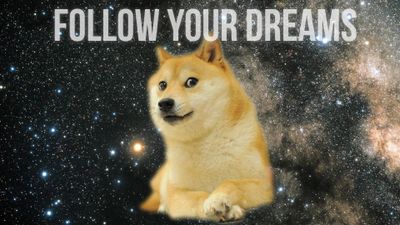 doge-wallpaper-4-follow-dreams.jpeg
